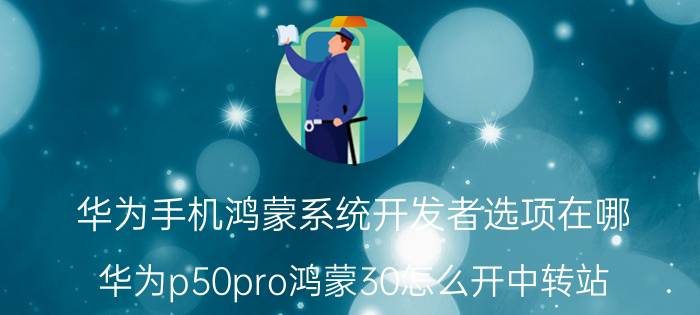 华为手机鸿蒙系统开发者选项在哪 华为p50pro鸿蒙30怎么开中转站？